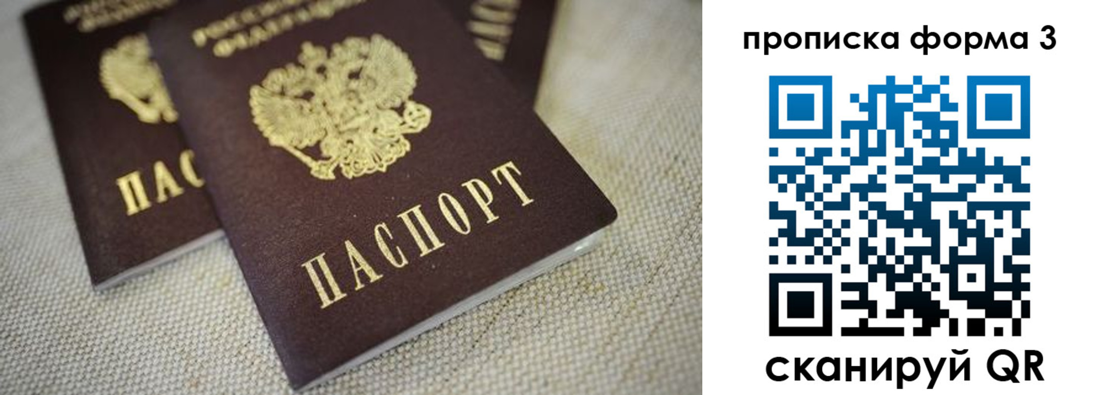 прописка поиск в Гусеве